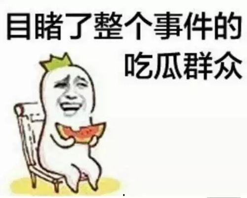 lmq吃瓜群众,网络热议背后的真相与反思