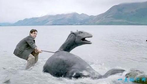 大水怪吃瓜,一场奇幻的瓜界盛宴