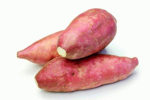 癌症病人可以吃土瓜吗,土瓜的食用与禁忌