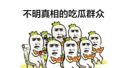 吃瓜工资,揭秘娱乐圈高薪背后的真相