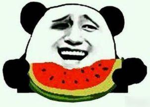 妹妹是吃瓜群众,瓜田里的吃瓜群众