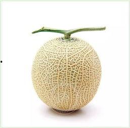 吃瓜群众摆件,揭秘吃瓜群众摆件的趣味与寓意