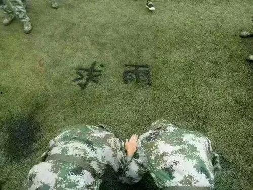 吃瓜人类返祖现场,揭秘人类进化之谜