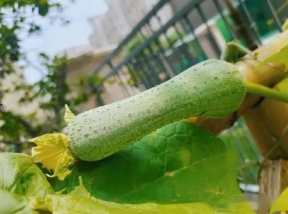 百高吃瓜,揭秘娱乐圈幕后真相